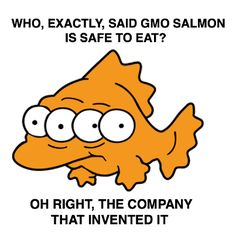 gmo