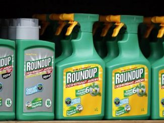 roundup
