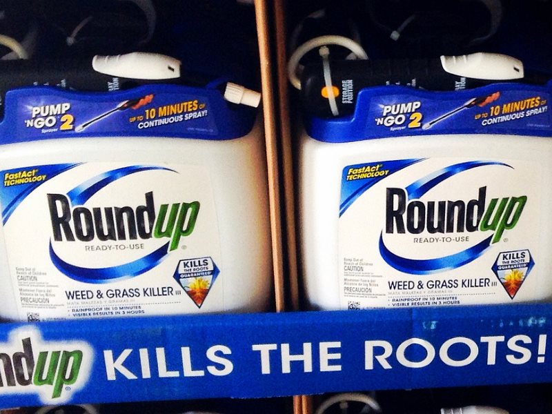 Members Of UN Panel On Glyphosate Have Ties To Monsanto