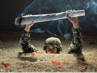Medical Marijuana For Military Veterans Passes Congress
