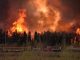 Canada Rejects International Assistance To Help Put Out Wildfires