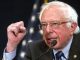 Bernie Sanders says the Democratic convention will be contested