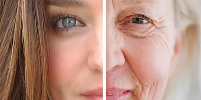 Scientists discover DNA technique that reverses ageing process by 20 years
