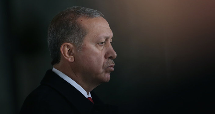 Turkey's Erdogan begs Putin for forgiveness