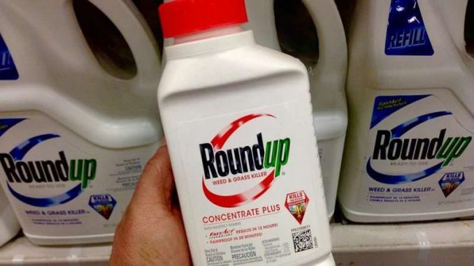 Monsanto sued over claims its popular weed killer Roundup caused cancer in 30 people