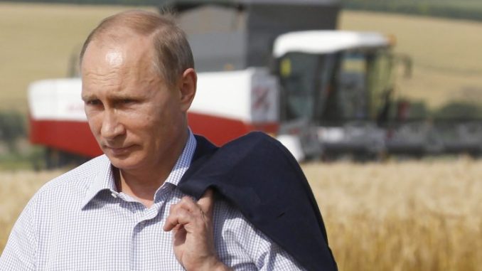 Russian President Vladimir Putin has outlawed GMO food in Russia, making it a criminal offence to import or produce it in the country.