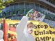 Wholefoods team up with Monsanto to try and prevent GMO labelling bill becoming law