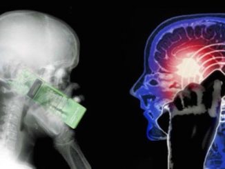 New study reveals that cell phones cause brain cancer