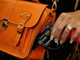 Federal appeals court ditches 2nd amendment