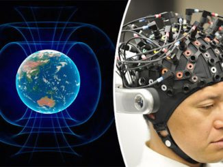 Scientist finds evidence of sixth sense in humans