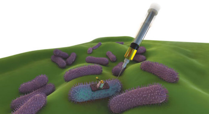 Patents reveals vaccines to be hidden in food particles