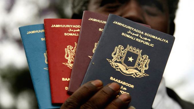 United States of Africa proposed with new AU passports