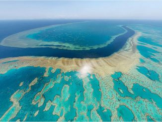 Scientists Warn Great Barrier Reef Is On Brink Of Collapse