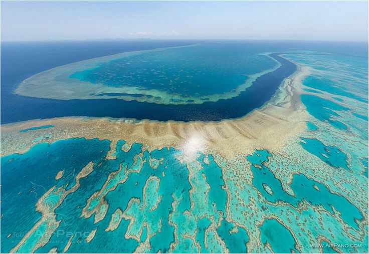 Scientists Warn Great Barrier Reef Is On Brink Of Collapse