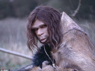Scientists search for woman willing to give birth to Neanderthal man