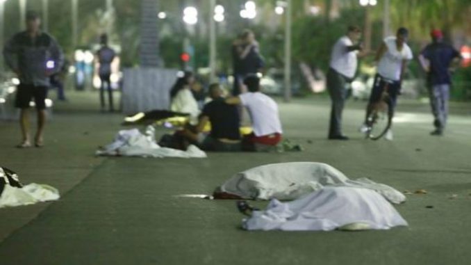 The terror attack in Nice was a government orchestrated false flag operation designed to thwart the snowballing citizen uprising, and allow the authorities to impose harsh military measures across the country.