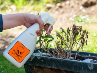 Study proves Monsanto's herbicide Roundup causes antibiotic resistance