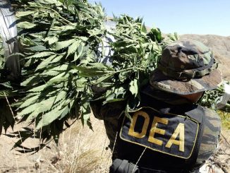 The Drug Enforcement Agency refused to relax restrictions on cannabis last week, meaning marijuana will remain Schedule 1 — the strictest category of the Controlled Substances Act, designated for dangerous and addictive drugs with no medical value