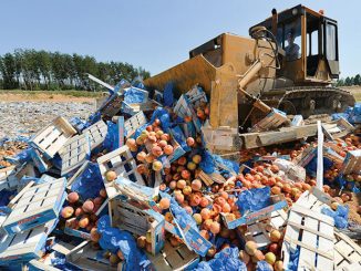 President Putin orders the destruction of 7,500 tons of Western GMO-ridden food