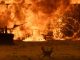 California Wildfire Forces Over 82,000 To Evacuate Their Homes