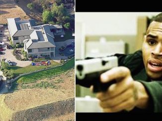 Singer Chris Brown in standoff with LAPD cops