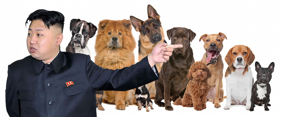 North Korea say dog meat is a superfood