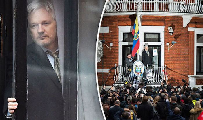 An intruder climbed the wall of the Ecuadorian embassy in London where Julian Assange has asylum, sparking fears the WikiLeaks founder was the subject of a failed assassination plot.