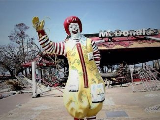 Research has revealed that French Fries are actually comprised of 19 shocking ingredients.