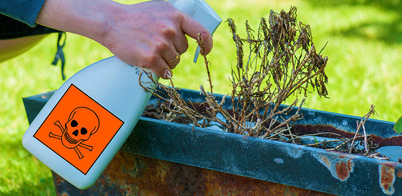 Monsanto face class action lawsuit over cancer cover-up