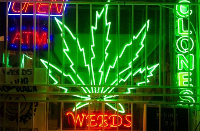 drug_synthetic cannabis