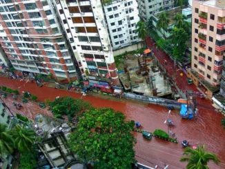 Streets Of Dhaka Turn To Rivers Of Blood