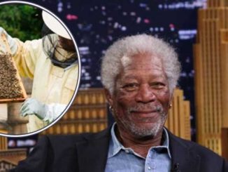 Celebrity Morgan Freeman Blames Monsanto For Mass Bee Deaths