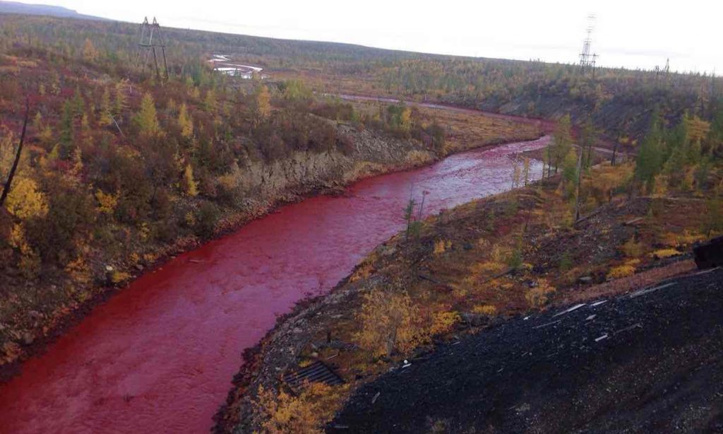 Investigation Launched As Russian River Turns Red