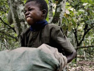 Nobody wants to support child slavery, but millions of Americans unwittingly fund the child slave labor trade in Africa every time they buy a chocolate bar.