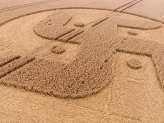 crop circle