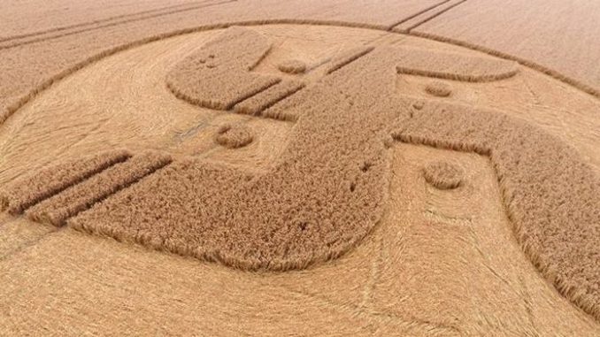 crop circle