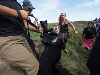 Peaceful Native American Protesters Pepper Sprayed & Attacked By Dogs