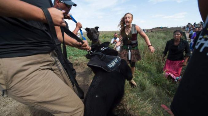 Peaceful Native American Protesters Pepper Sprayed & Attacked By Dogs