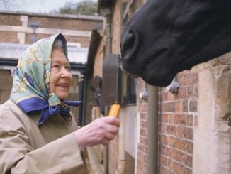 The Queen & Saudi Prince Get £900K EU Taxpayer Funded Subsidies