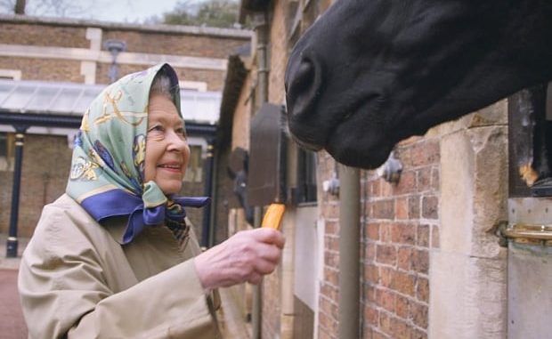 The Queen & Saudi Prince Get £900K EU Taxpayer Funded Subsidies