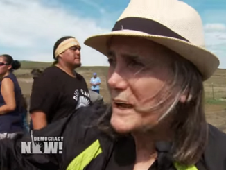 amy goodman