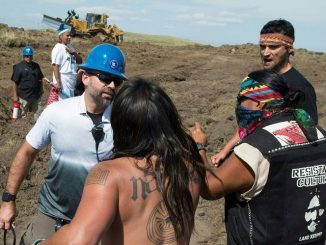 dapl