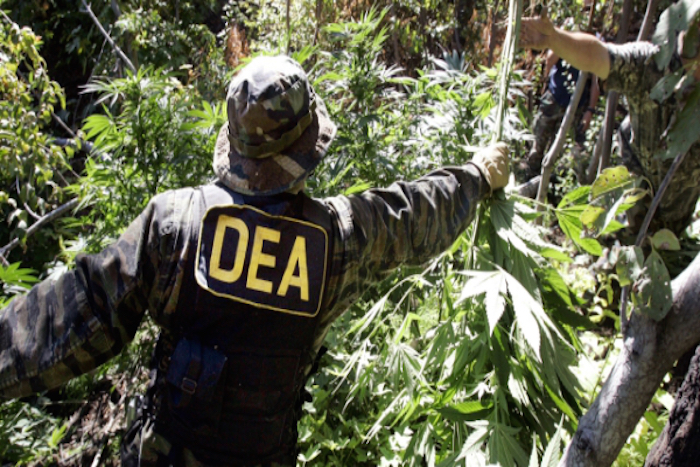 Bolivia successfully end 'war on drugs' in country by banning the DEA