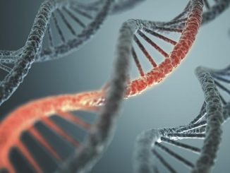 alien dna