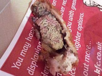 An Arkansas mother had to take her 5-year-old son to hospital after he ate a bucket of KFC fried chicken infested with maggots.