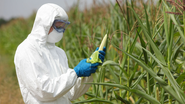 WHO orders scientists to stay silent on cancer dangers from glyphosate