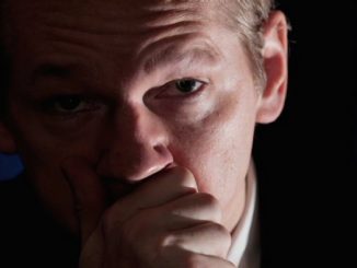 An enormous directory of secret files has been opened to the public on the WikiLeaks website sparking fears Julian Assange's dead man's switch has been activated, meaning he is either detained or dead.