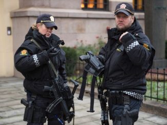 Norwegian police arrest 20 people connected to a pedophile ring