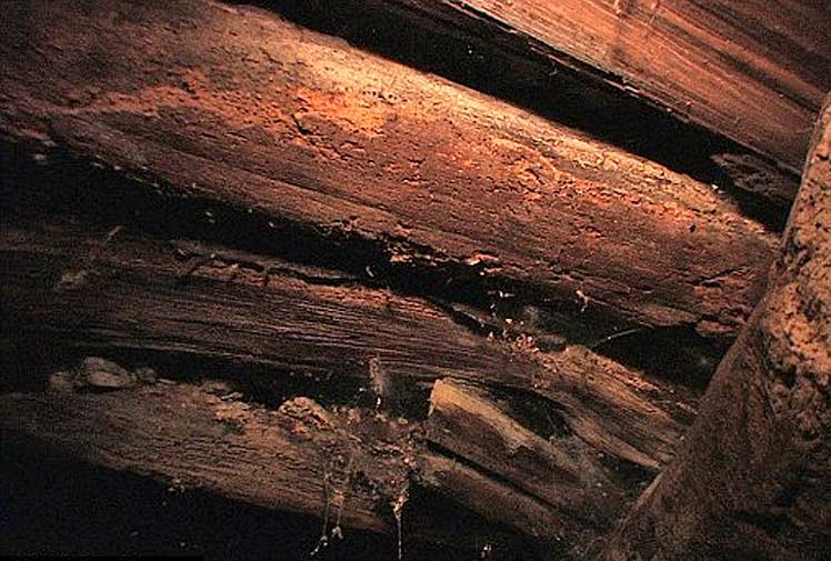 Russia say they have discovered authentic water on Noah's Ark