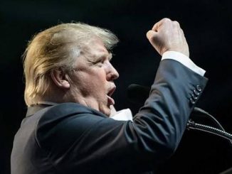 Donald Trump won the popular vote by a landslide